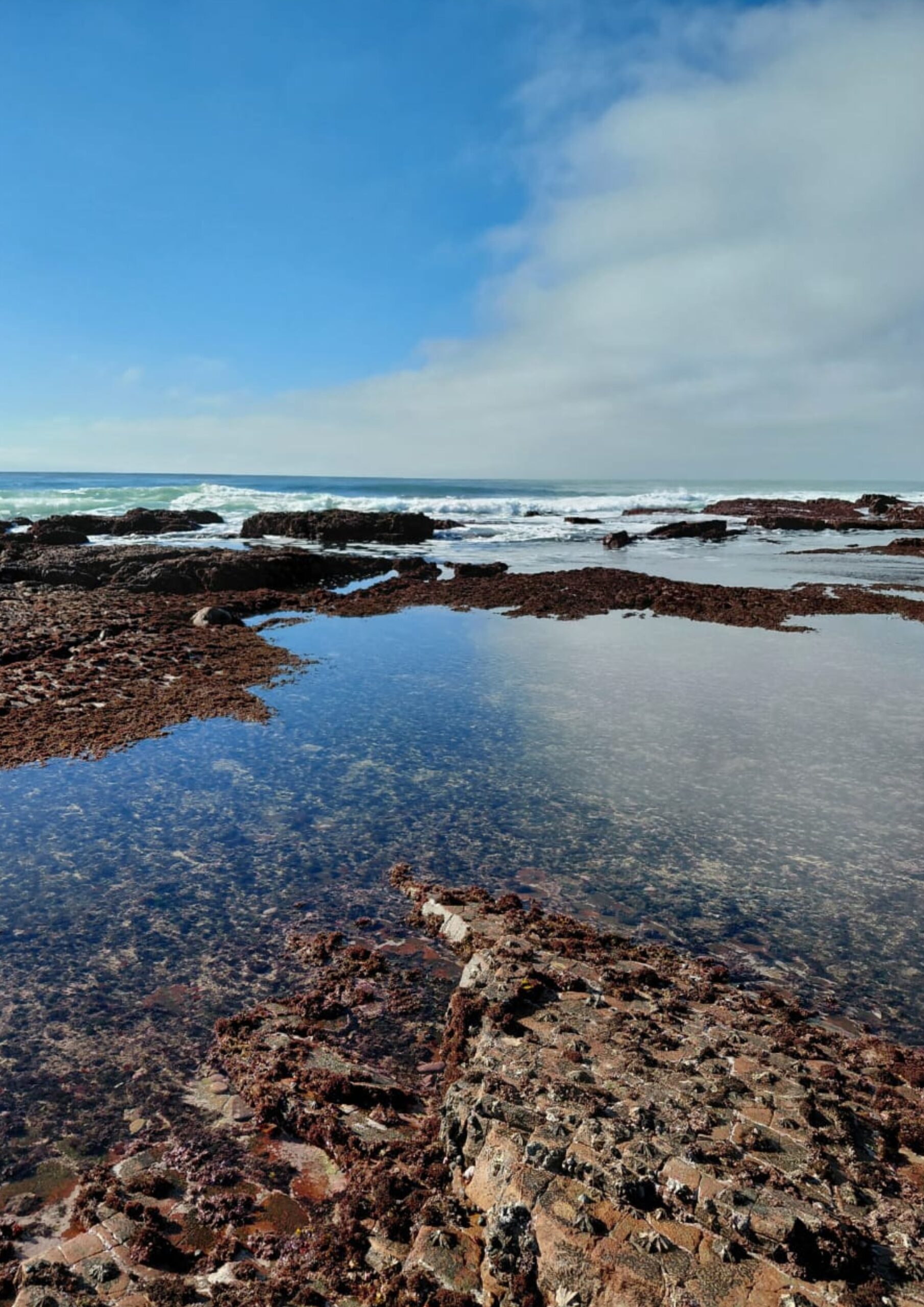 Tidal pools at Stilbaai on the Garden Route